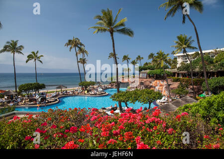 Bouganvilla flowers, Grand Hyatt; Kaanapali, Maui, Hawaii, United States of America Stock Photo