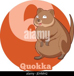 ABC Cartoon Quokka Stock Vector