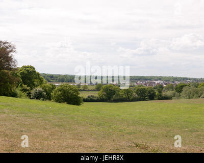 a big open field of grass with trees and river in the distance on a sunny afternoon in spring landscape with no people in essex england uk Stock Photo
