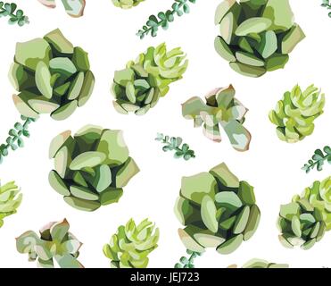 Vector seamless pattern of Green colorful succulent cactus design print. Natural exotic elegant background in modern style isolated white. Vintage, wa Stock Vector