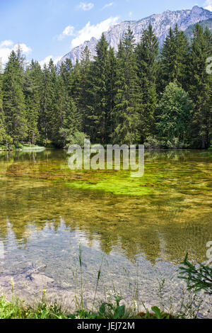 Vertical shot of summer mountain lanscape with a green pond in foreground Stock Photo