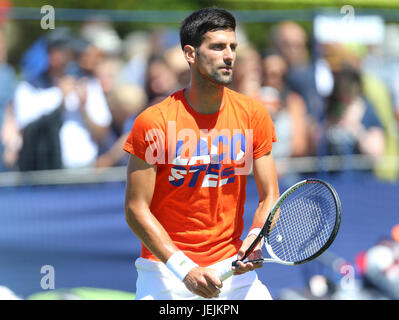 Eastbourne, UK. 26th June, 2017.  Novak Djokovic of Serbia practices during day two of the Aegon International Eastbourne on June 26, 2017 in Eastbourne, England Credit: Paul Terry Photo/Alamy Live News Stock Photo
