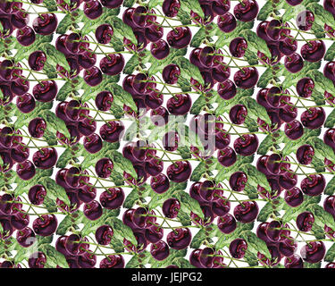 Seamless pattern Watercolor cherry illustration Stock Photo