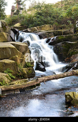the river Ilse in the Harz National Park Stock Photo