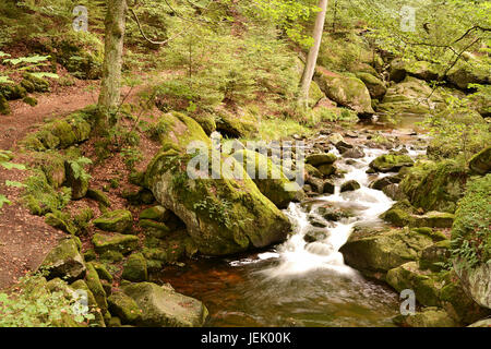 the River Ilse in the Harz National Park Stock Photo
