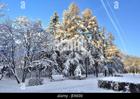Landscape of city park in winter with frozen trees Stock Photo - Alamy