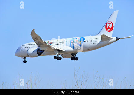 BEIJING-DEC. 9. Boeing 787-846 Dreamliner JA828J from Japan Airlines landing. March 26, 2012 Boeing  celebrated the delivery of Japan Airlines. Stock Photo