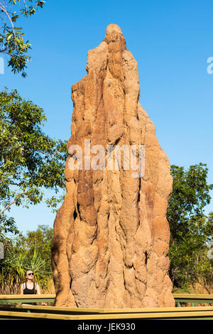 Cathedral Termite Mound, Litchfield National Park, Northern Territory, Australia. Stock Photo