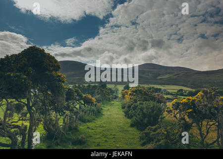 a beautiful Irish countryside alongside a farm. Stock Photo