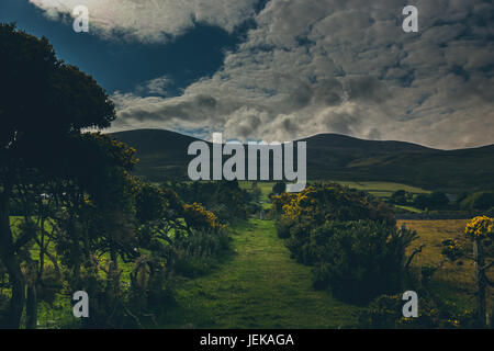 a beautiful Irish countryside alongside a farm. Stock Photo