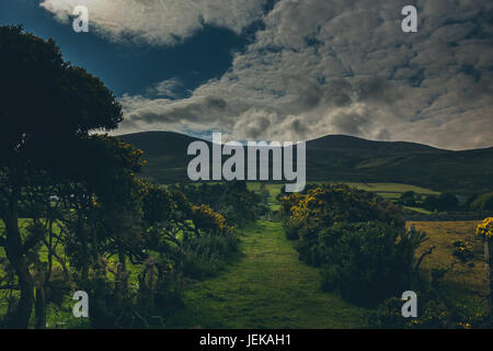 a beautiful Irish countryside alongside a farm. Stock Photo