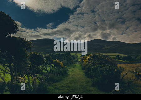 a beautiful Irish countryside alongside a farm. Stock Photo