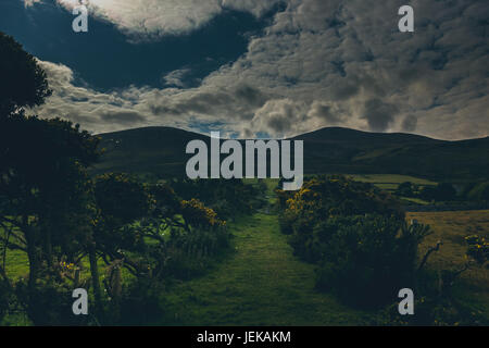 a beautiful Irish countryside alongside a farm. Stock Photo