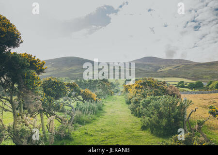 a beautiful Irish countryside alongside a farm. Stock Photo