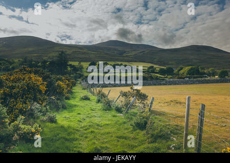 a beautiful Irish countryside alongside a farm. Stock Photo