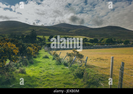 a beautiful Irish countryside alongside a farm. Stock Photo