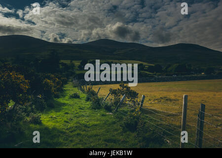 a beautiful Irish countryside alongside a farm. Stock Photo