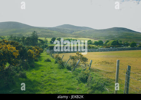 a beautiful Irish countryside alongside a farm. Stock Photo