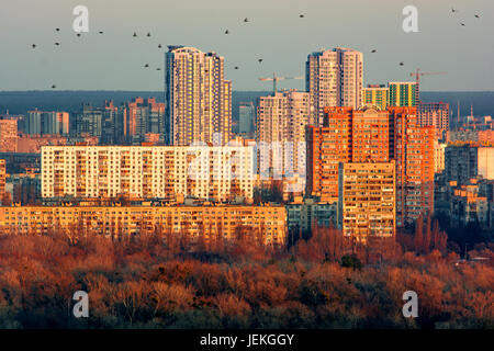 Birds flying over City skyline at night, Kiev, Ukraine Stock Photo