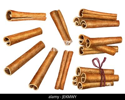 Cinnamon sticks isolated on white background, top view Stock Vector