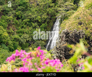 Opaekaa Falls in Hawaiian island of Kauai Stock Photo