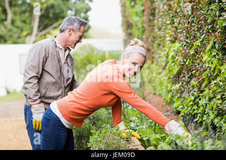 Cute couple doing some gardening Stock Photo