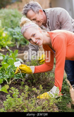 Cute couple doing some gardening Stock Photo