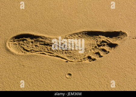trace of human foot on the wet sand Stock Photo