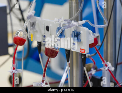 Detail of the perfusion machine which has taken over the heart & lung functions of the patient having Coronary Artery Bypass Graft surgery. Stock Photo