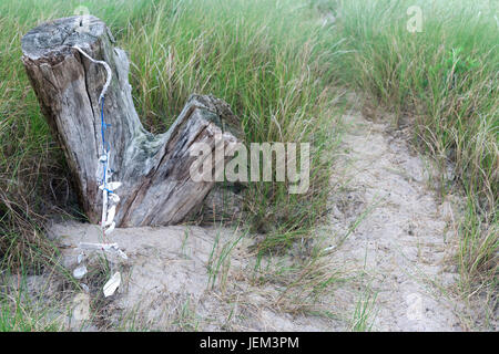 Driftwood stump with a shell mobile in the sand and beach grass. Stock Photo