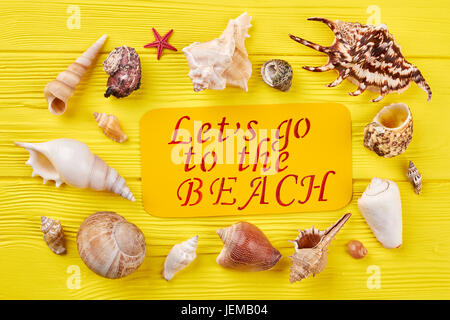 Collection of seashells, yellow board. Different seashells around paper inscription. Summertime ocean resort concept. Stock Photo