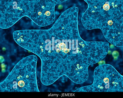 Amoebas On Abstract Blue Background Stock Photo - Download Image Now -  Protozoan, Amoeba, Virus - iStock