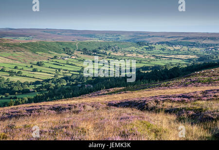 Westerdale from Blakey Rigg Stock Photo