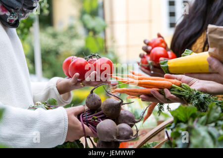 Hands holding vegetables Stock Photo