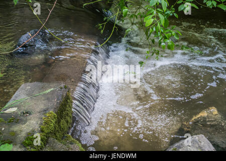 A view of the Des Moines creek in Washington State. Stock Photo