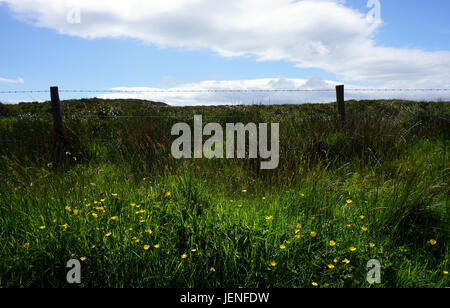 Sperrin Mountains Sperrins County Tyrone Northern Ireland Scenic Route Wild flowers landscape Stock Photo