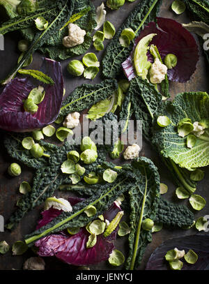 Various leaves on grey background Stock Photo