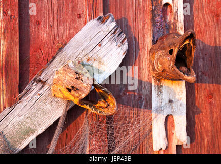 Fish heads on wall Stock Photo