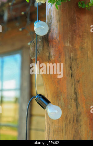The lowers and bulbs on the wooden decoration Stock Photo