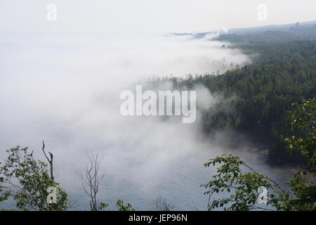 The thick ghostly white fog creeps over the trees. Stock Photo