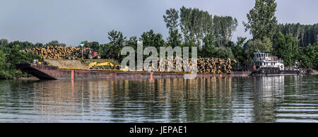 River Tisa (Tisza), Serbia - Tugboat and River barge loaded with logs Stock Photo