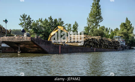 River Tisa (Tisza), Serbia - Cranes with jaws loading logs onto a river barge Stock Photo