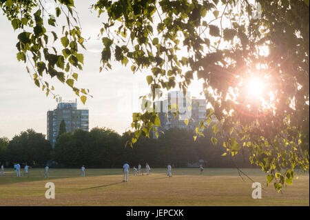 Evening cricket at dusk in London Stock Photo