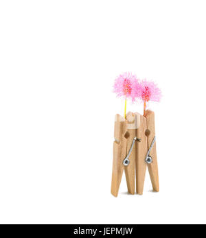 clothespins and pink flower on white background Stock Photo