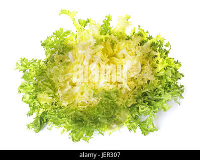 curly endive in front of white background Stock Photo