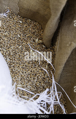 Detail of raw wheat in an esparto sack, detail of dry cereal Stock Photo