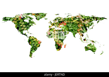 conceptual image of flat world map and leaves. NASA flat world map image used to furnish this image. Stock Photo