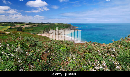 Saussaye beach and Moulière point, Emerald coast (Cancale, Ille et Vilaine, Brittany, France). Stock Photo