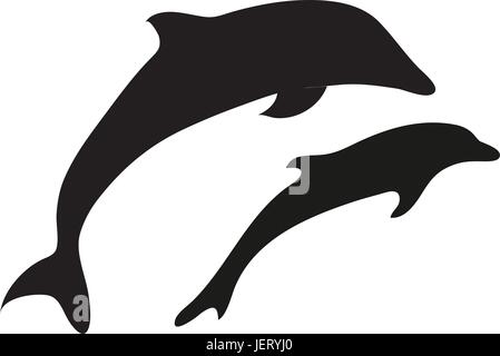 dolphin illustration Stock Vector
