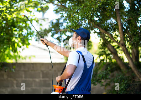 Rear view of pest control worker Stock Photo